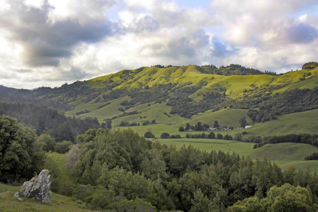 San Anselmo Inn 외부 사진