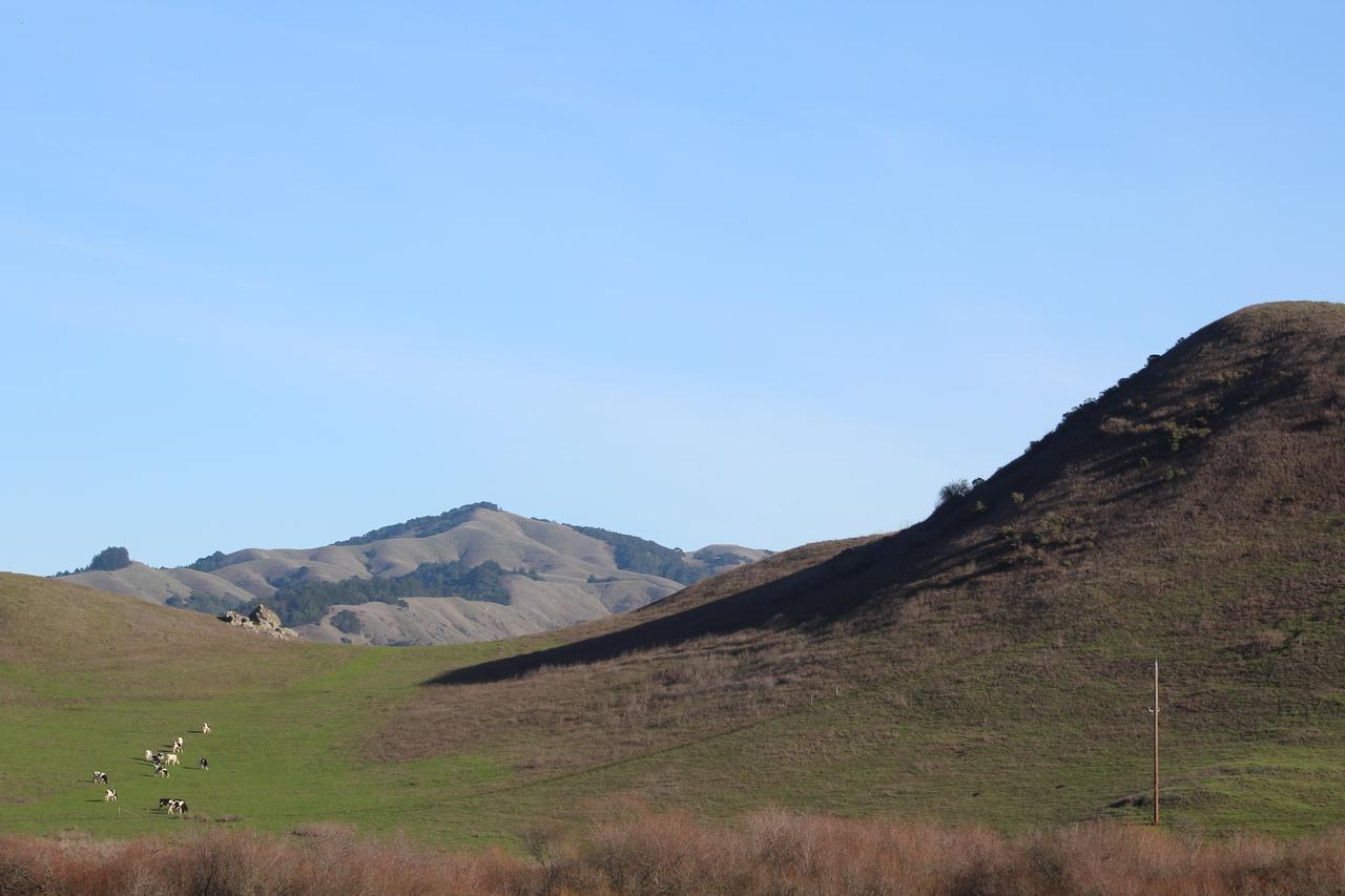 San Anselmo Inn 외부 사진